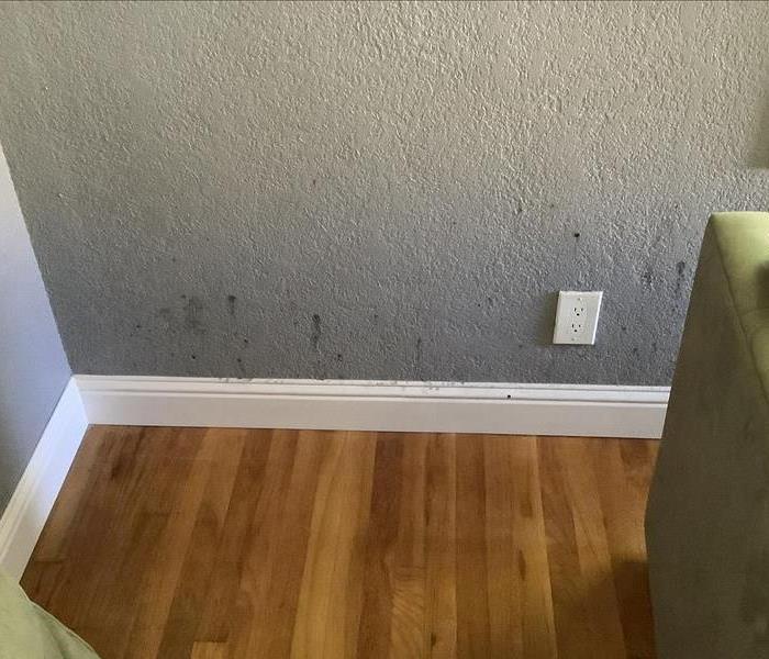 Water damage secondary damages